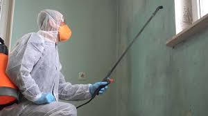 Best Mold Remediation for Healthcare Facilities  in Angleton, TX