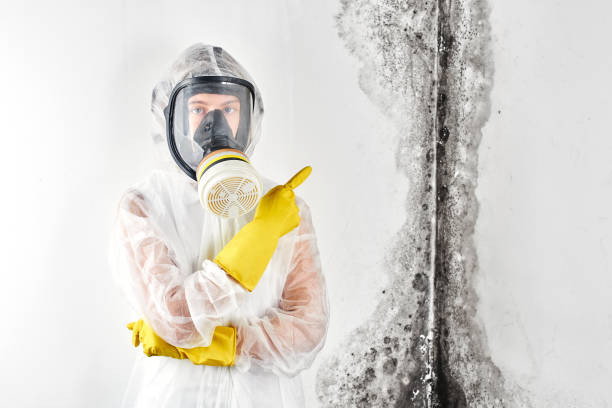 Best Biohazard Mold Removal  in Angleton, TX