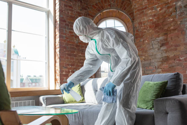 Best Industrial Mold Remediation  in Angleton, TX